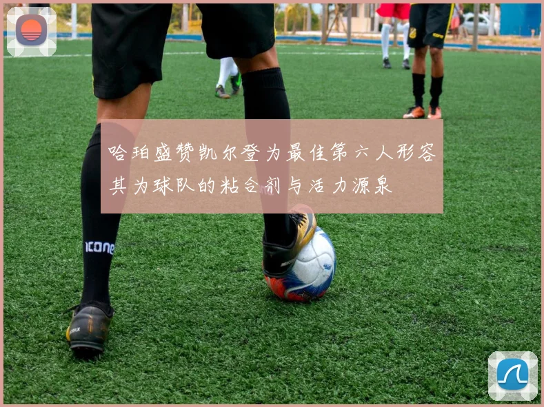哈珀盛赞凯尔登为最佳第六人形容其为球队的粘合剂与活力源泉